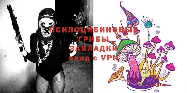 хмурый Осташков