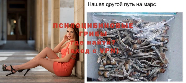 ПСИЛОЦИБИНОВЫЕ ГРИБЫ Остров