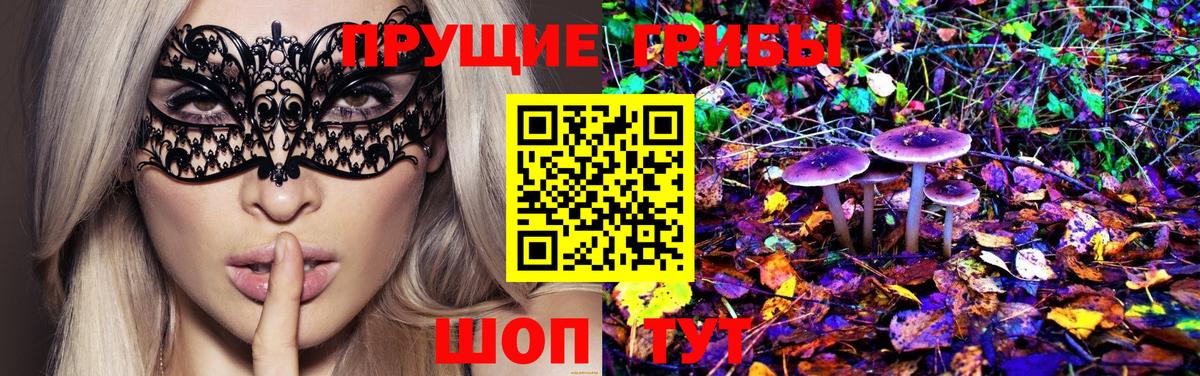 Псилоцибиновые грибы прущие грибы  Галлюциногенные грибы Psilocybe  где можно купить   Унеча  Вход с VPN 